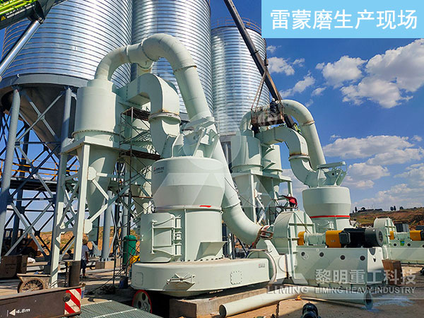 煤系高嶺土雷蒙磨粉機(jī)生產(chǎn)現(xiàn)場 煤系高嶺土雷蒙磨粉機(jī)生產(chǎn)現(xiàn)場